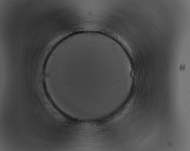 X0000102840673200809081220