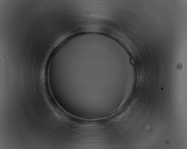 X0000102840674200809081220