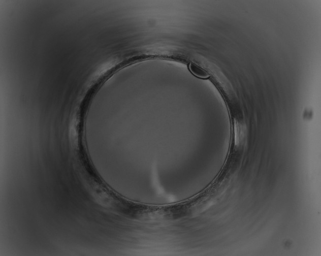 X0000102840675200809081220