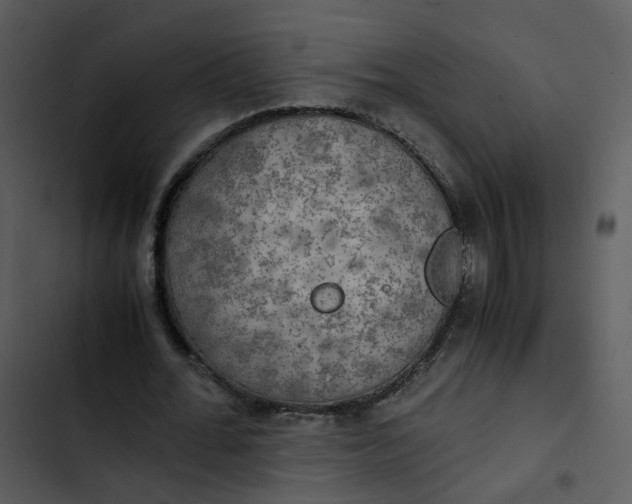 X0000102840676200809081220