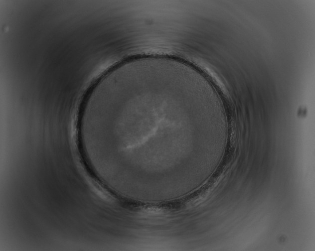 X0000102840677200809081220