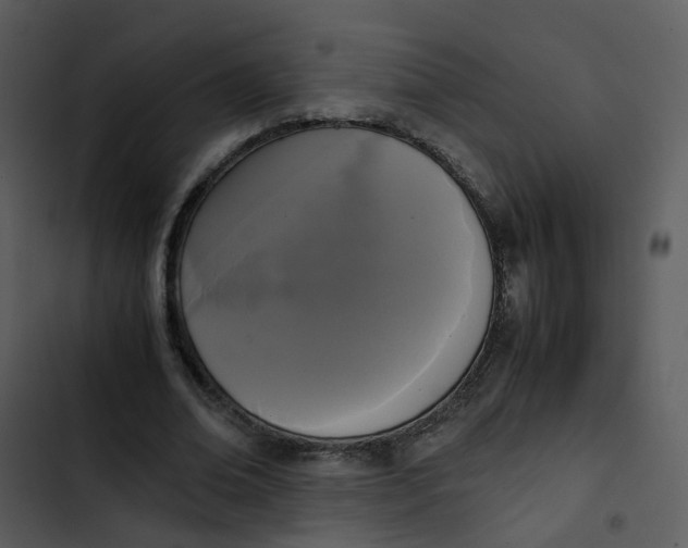 X0000102840678200809081220