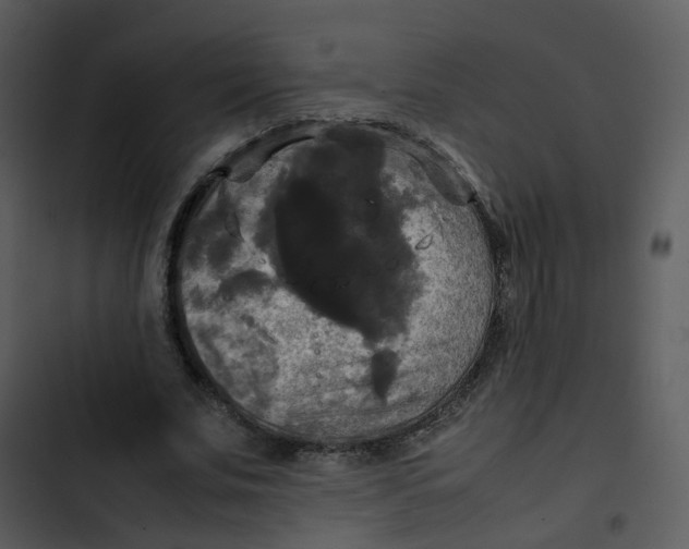 X0000102840679200809081220