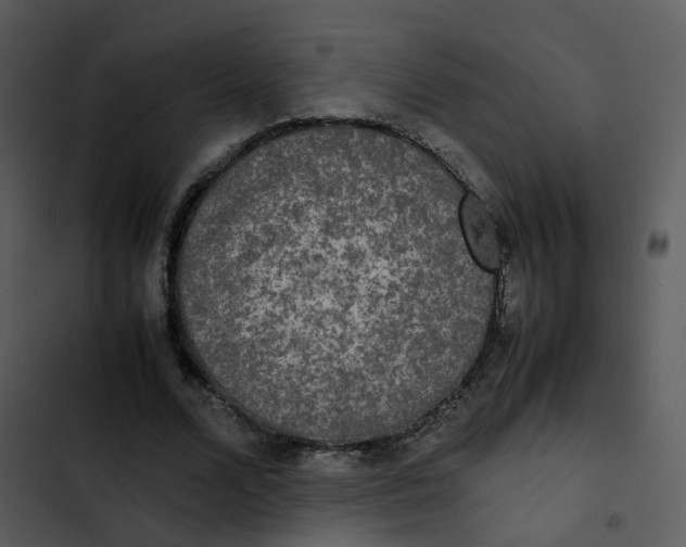 X0000102840680200809081220