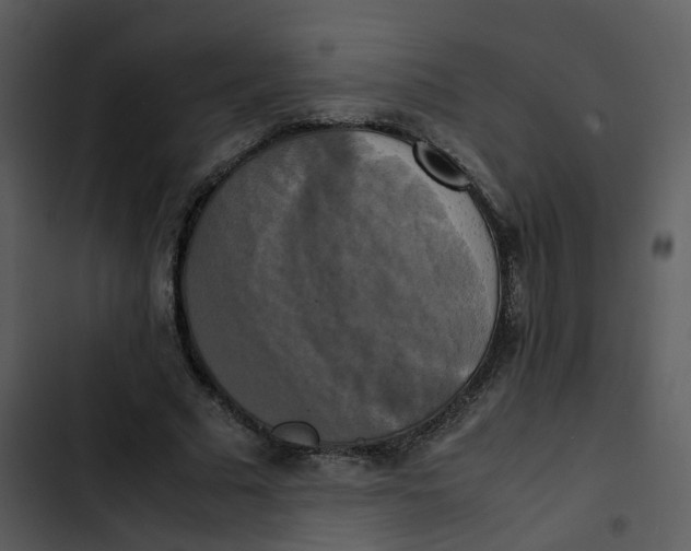 X0000102840681200809081220