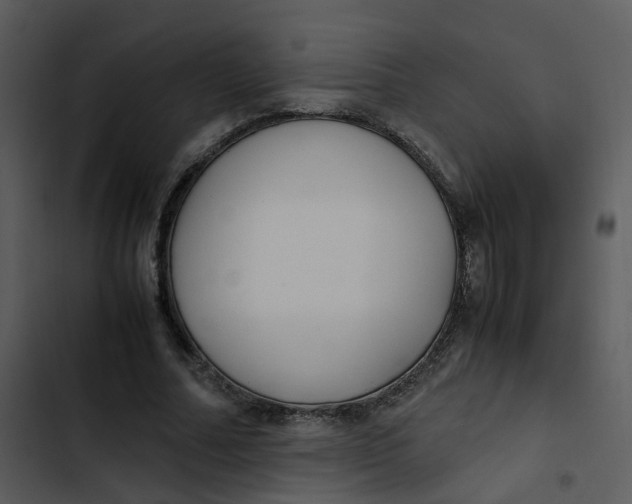 X0000102840682200809081220