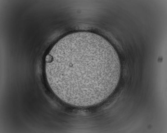 X0000102840683200809081220