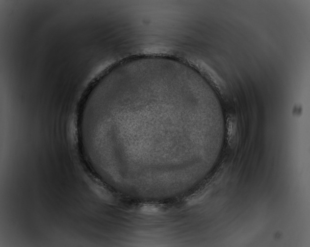 X0000102840684200809081220