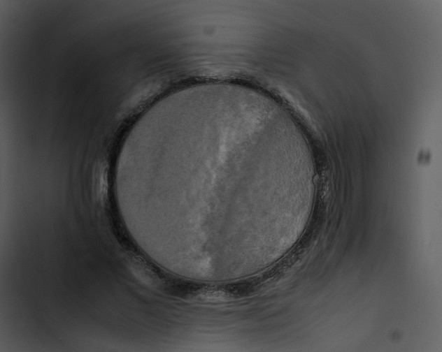 X0000102840685200809081220