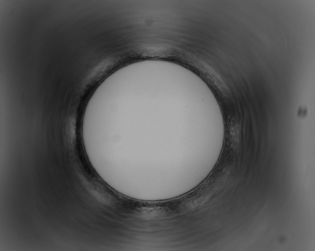 X0000102840686200809081220