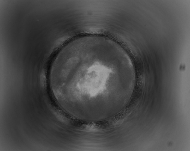 X0000102840688200809081220