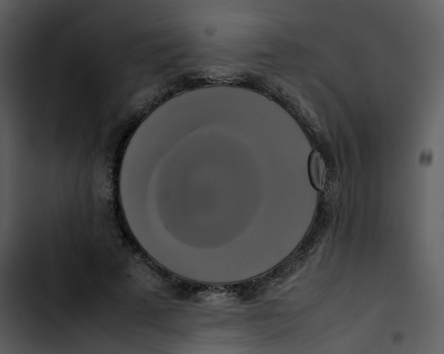 X0000102840689200809081220