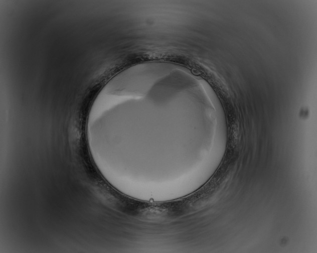 X0000102840691200809081220