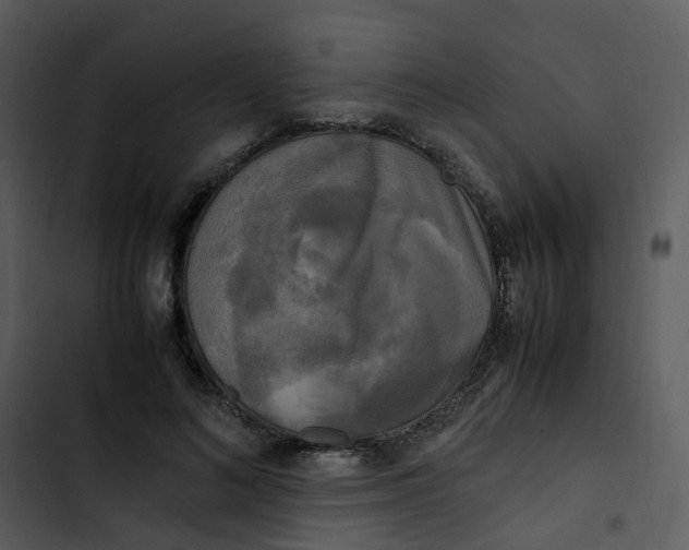 X0000102840692200809081220