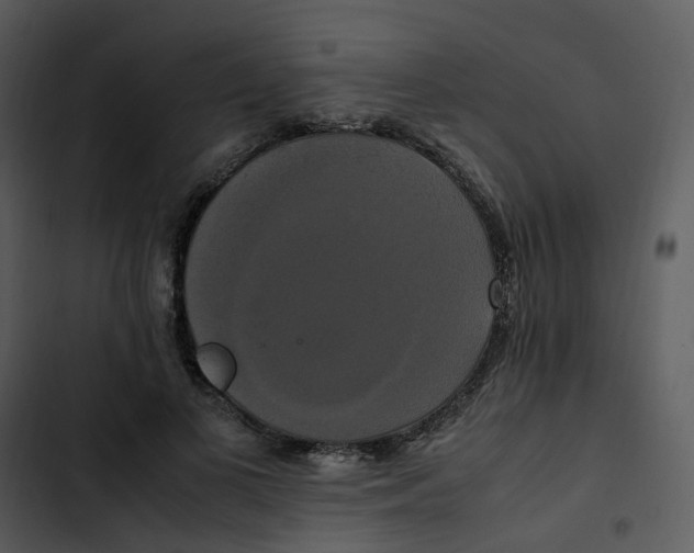 X0000102840693200809081220