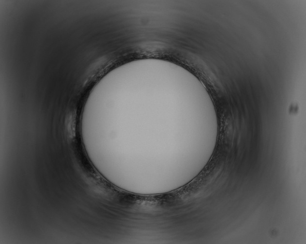 X0000102840694200809081220