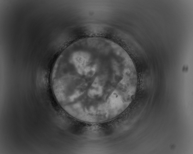 X0000102840695200809081220