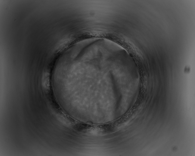 X0000102840696200809081220