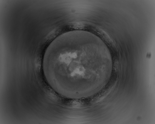 X0000102840697200809081220