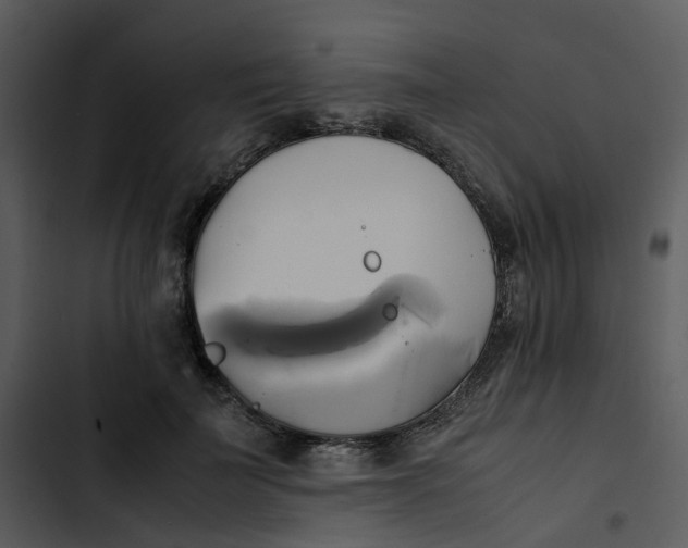 X0000102840699200809081220