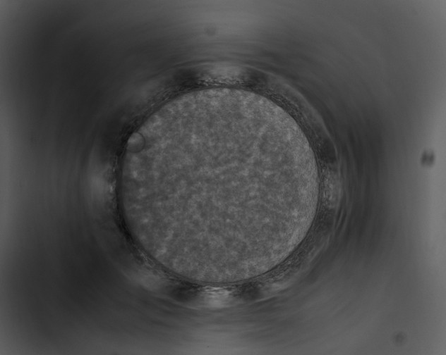 X0000102840701200809081220