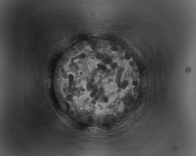 X0000102840703200809081220