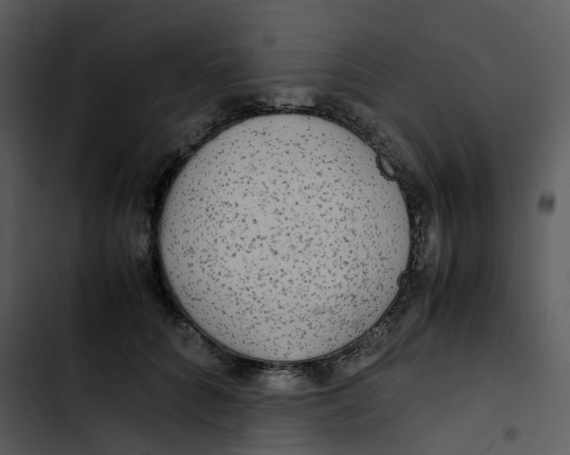 X0000102840704200809081220