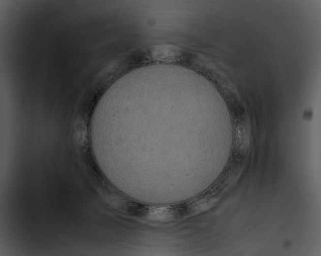 X0000102840705200809081220