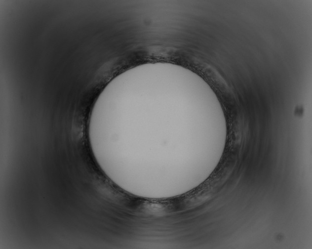 X0000102840706200809081220