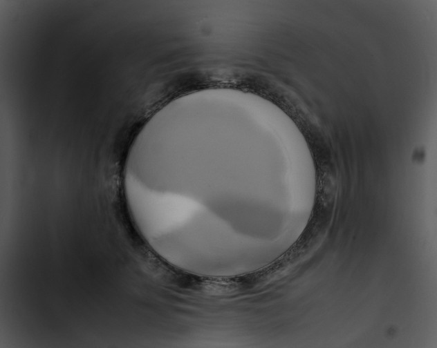 X0000102840707200809081220