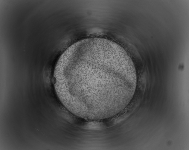 X0000102840708200809081220