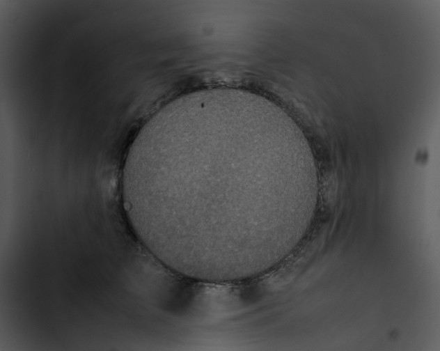 X0000102840709200809081220