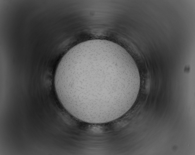 X0000102840710200809081220