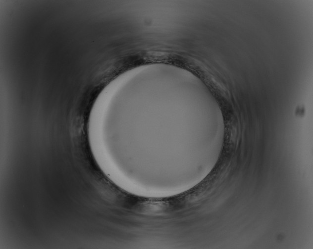 X0000102840711200809081220