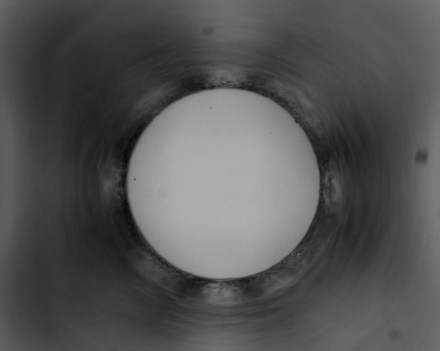 X0000102840714200809081220