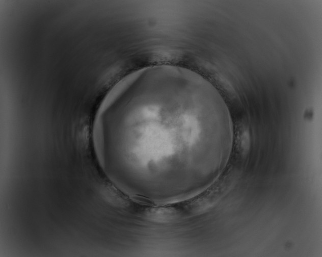 X0000102840716200809081220