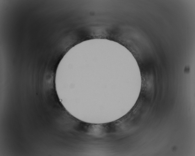 X0000102840717200809081220