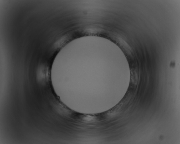 X0000102840718200809081220