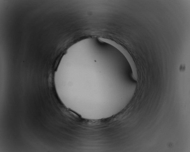 X0000102840720200809081220