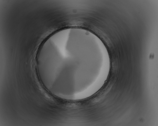 X0000102840721200809081219