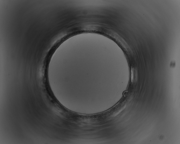 X0000102840723200809081219