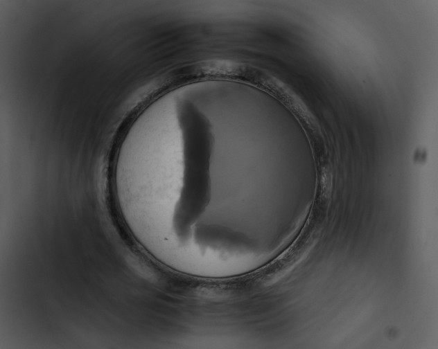 X0000102840725200809081219