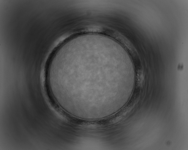 X0000102840726200809081219