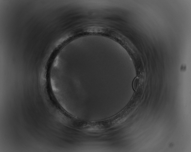 X0000102840727200809081219