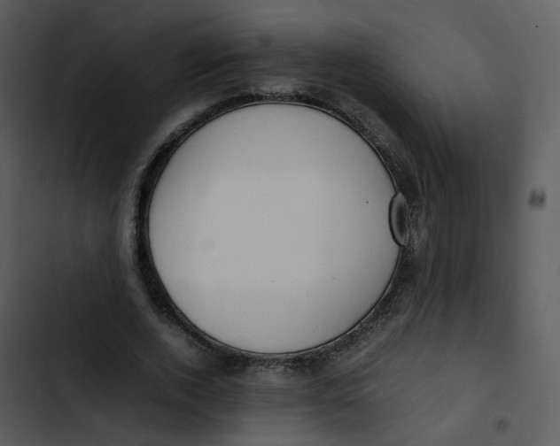 X0000102840728200809081219