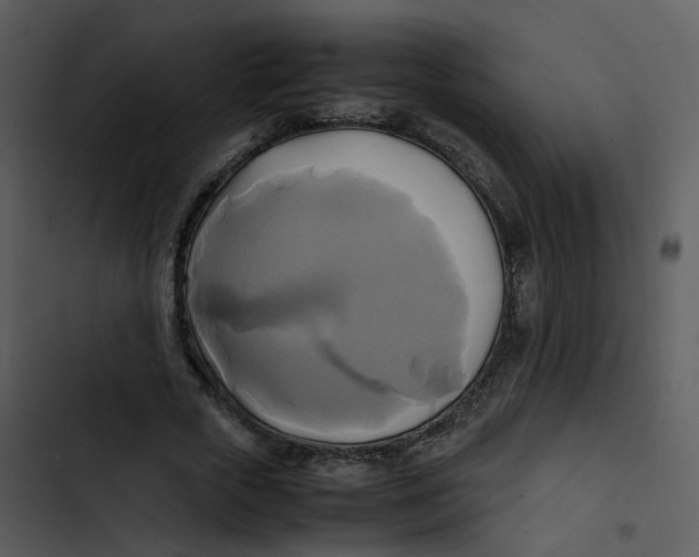 X0000102840729200809081219