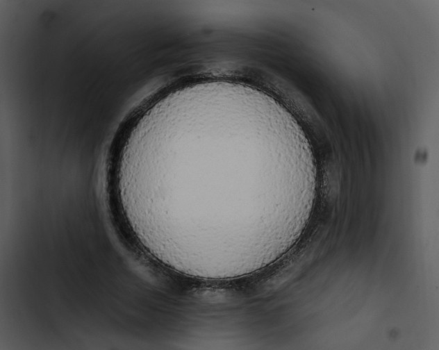 X0000102840730200809081219