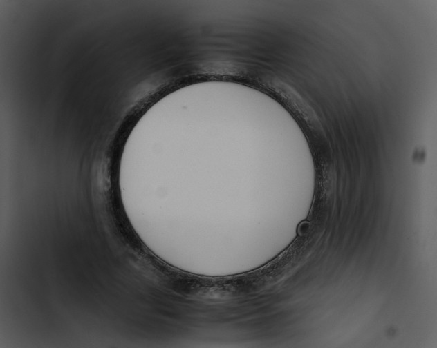 X0000102840731200809081219