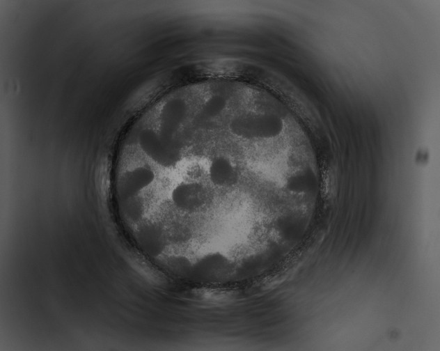 X0000102840733200809081219