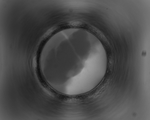 X0000102840734200809081219